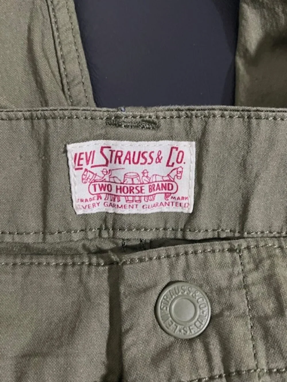 Levis levi strauss
